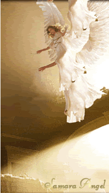 anj22angels